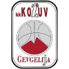 https://img.violetdb.com/img/basketball/team/4b06fe02aaa7da5901e5698485059da0.png